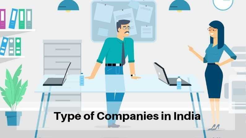 Type of Companies in india