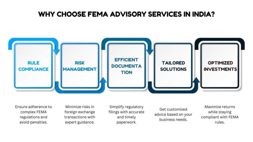 How Do FEMA Advisory Services in India Help in Growing Your Business Infographic