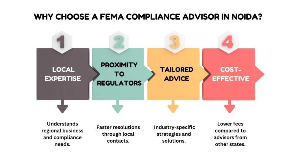 Why FEMA Consultants Are Essential for Navigating Foreign Exchange Compliance Infographic