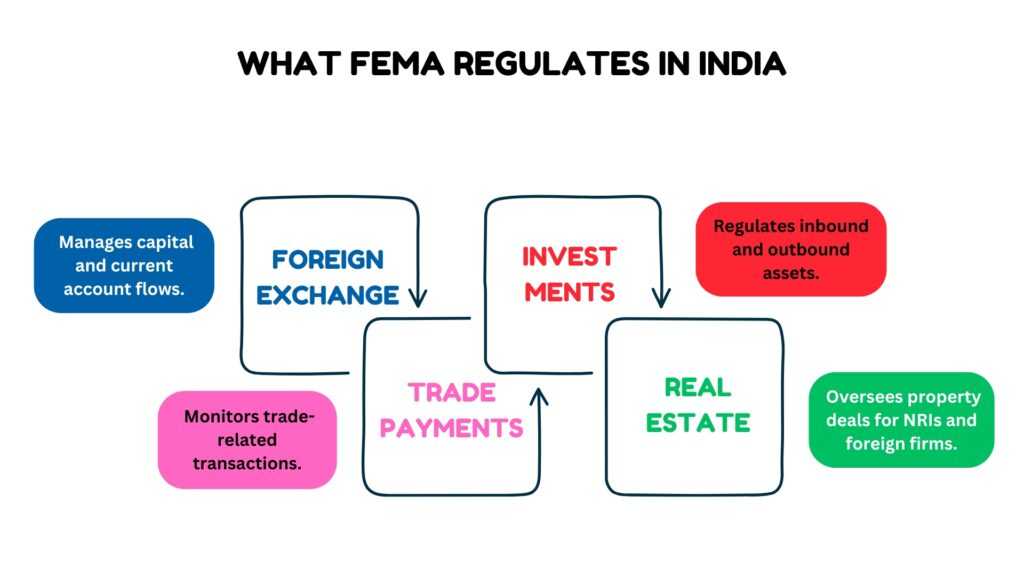 Why You Need a FEMA Advisor in India for International Business Compliance Infographic